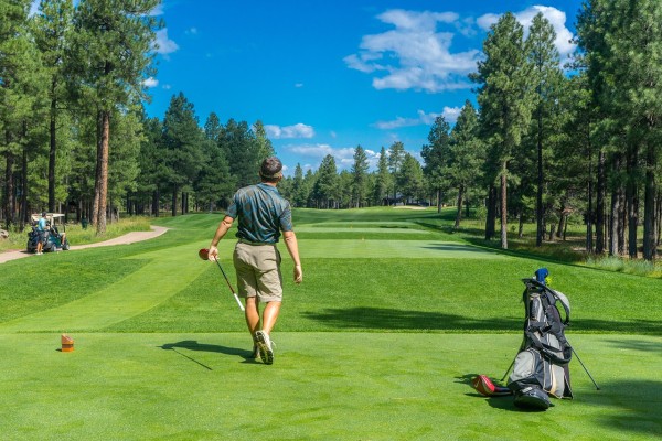 Bermain Golf