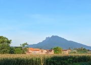 Puncak Gunung Ringgit: Petualangan di Atas Awan Situbondo