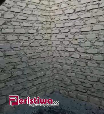 IMG 20250129 WA0135