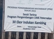 Kambing Program UMK Migas 2022 Raib, Sucipto Abadi: Ternyata Bukan Hanya Atap yg Hilang