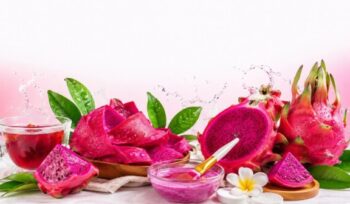 Manfaat Kulit Buah Naga untuk Kesehatan dan Kecantikan yang Perlu Diketahui. (Foto: Istimewa)